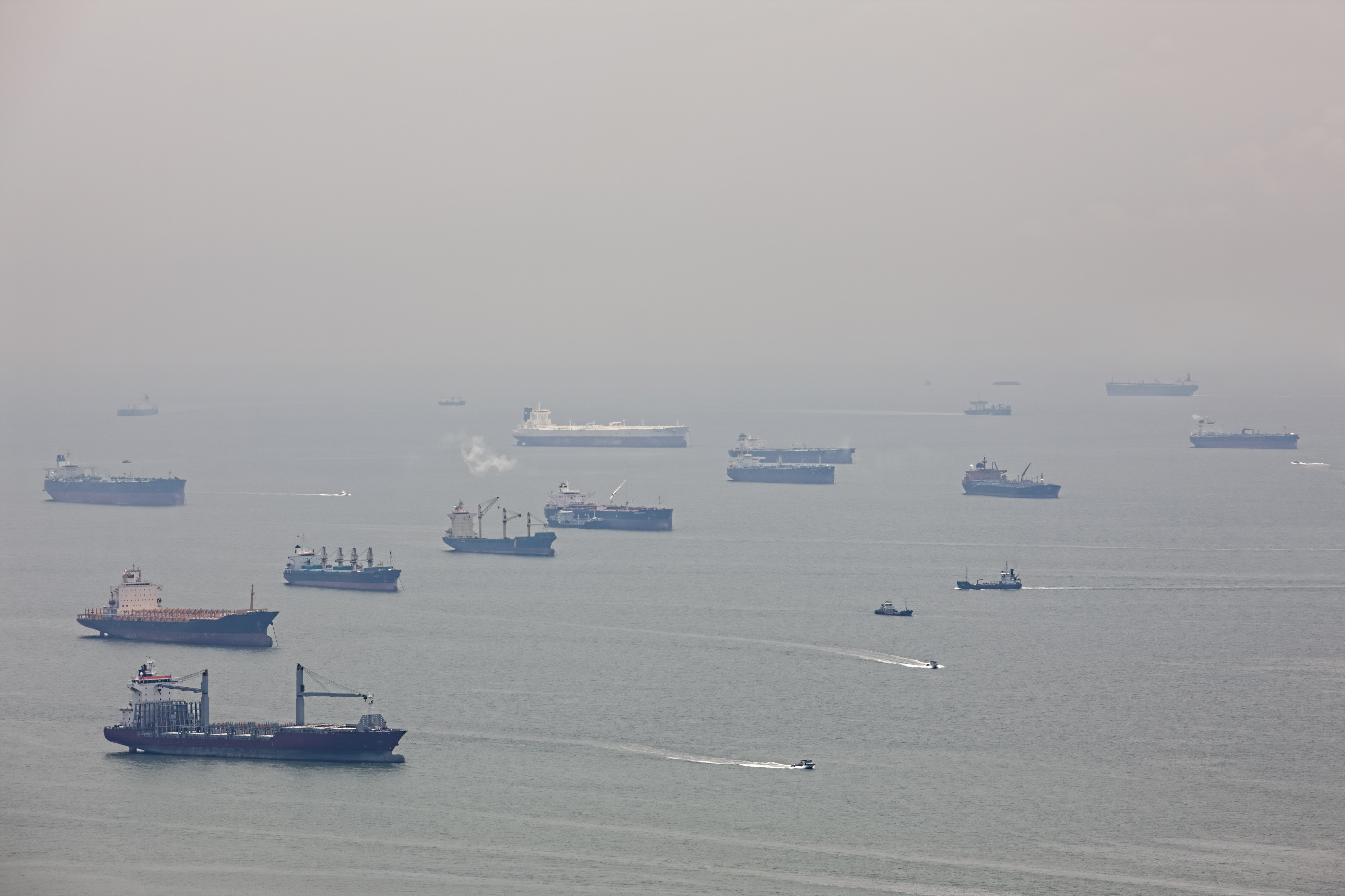 Maritime traffic and fleet monitoring